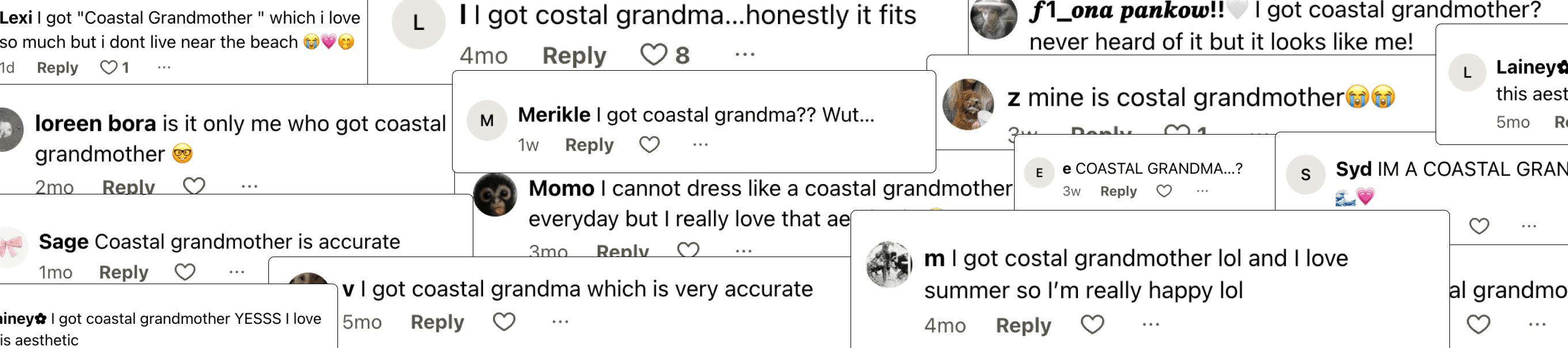 Coastal Grandmother Comments
